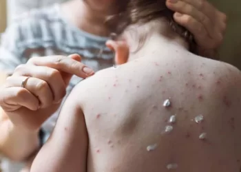 Multimedia.normal.b4e1881a2f6614ee.576861747341707020496d61676520323032322d30352d323920617420322e355f6e6f726d616c2e77656270