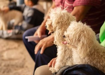 2159471b 0522 48a0 a65d 065035959cac