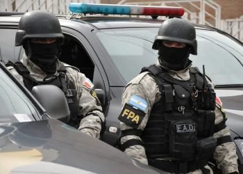 Salsipuedes: Tenían plantas de marihuana escondidas en el horno de la vivienda