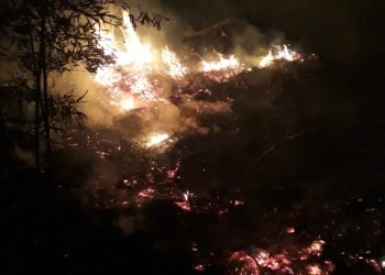 6bfd1ae9 2b13 4088 af09 ccafbcb8e0fd