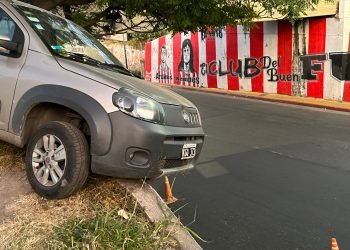 8d5d51c2 a4c0 4e4c a71d 034a9dd1965f