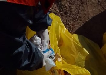 Bea459ad b2e4 4f2d aa4b 64508a0c50ed