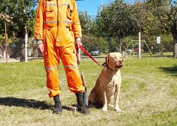 Dd3b623a 0dfb 41a1 a057 6753b4aaceab