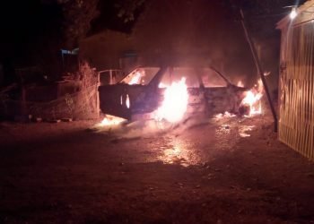 Ef2ad5cf 4411 407f 82a7 6481b8c61ac7