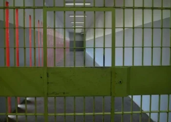 Gu2deodghe4wgnzumi2toylfha