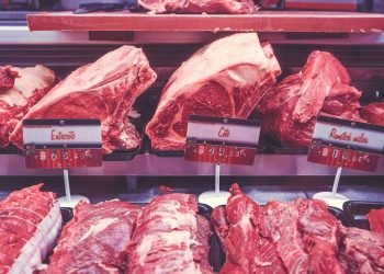 Carnes dietas obesidad 386222783 118855331 1706x960