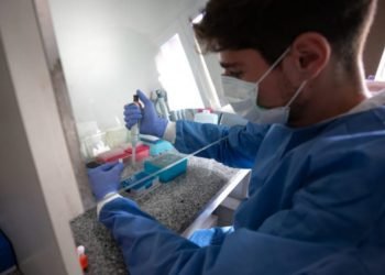 0fa34f4c dabf 4e16 8d30 da4485b54fa7