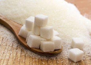 297804d8 2d72 4cc9 a0c5 ca7c2617316d