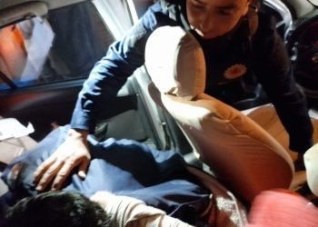 3239de98 19cb 47ee 893f 54ee132825b4