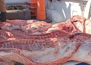 3ad5363b 039d 4c86 86e5 9049ffcf34ca