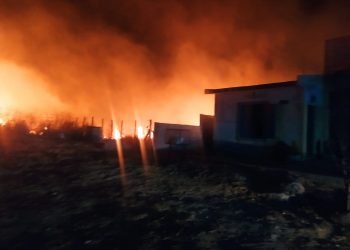 65864505 5b40 4d8b af82 a3457f6a494d