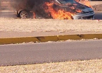 D138b2bd 5d03 493b b82c 20a2831c0555