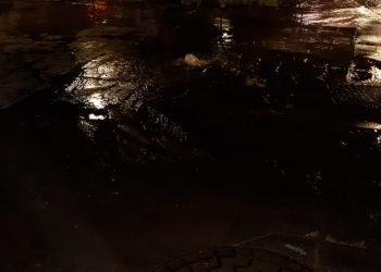 F54f8d82 3e98 41ce a4e1 f7b7d1846c5d