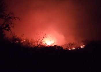 09527015 3f46 43dd 8338 dd5b893b0772