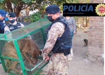 0f6b99ff f3e8 4ef8 8cdf d0e8c4b348b7