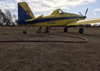 36d30386 5703 42cf 9d9d 91e14aaa679d