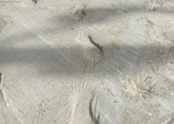 B6850b4f 73ec 422f bded a98d6a90ae33