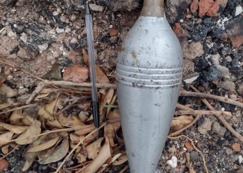 B81b2f84 c5e1 496d bc62 5c2070ae8986