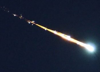 D430a904 1d55 443f bdef a7ae828ad77d