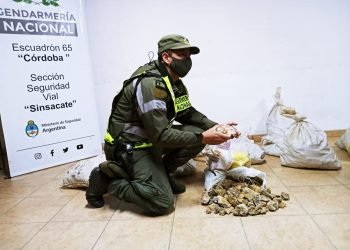 D6962ed2 cbce 4423 aaea 31e2e3daed33