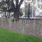 Whatsapp image 2022 08 29 at 8.46.28 am