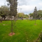 Whatsapp image 2022 08 29 at 8.50.04 am (1)