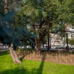 Whatsapp image 2022 08 29 at 8.50.04 am