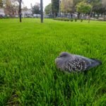 Whatsapp image 2022 08 29 at 8.50.05 am (1)