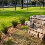 Whatsapp image 2022 08 29 at 8.50.08 am (1)