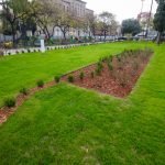 Whatsapp image 2022 08 29 at 8.50.08 am