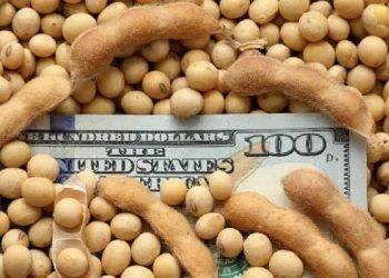 113a1a77 d592 4dc5 9e91 6870c529d1e7