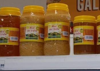 1708e158 16a8 4cc2 8fa9 9587ddad20f5