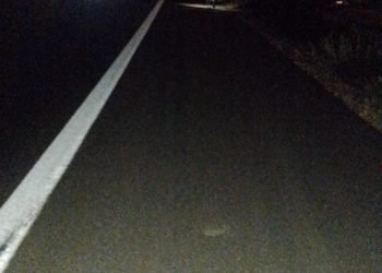 3f81b29c e8c8 4fe5 98cb a9c9bdd2b2ff