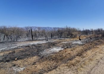 7e1abb16 3fe5 4111 94d8 fa0c94b61368