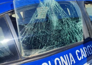 8ab1758b f42d 43b4 b5de c4c37be6674a