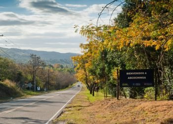 92da8480 8ccd 4bc4 94e7 add20aa0d49f