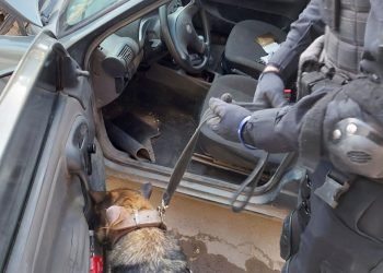 A106e6b6 aae0 4bee 96e8 afeedea08bdc