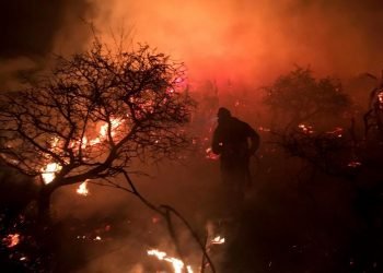 E8f852d9 6ea9 4433 b746 2a9e4d43c967