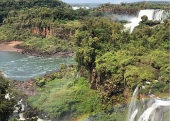 F60a27c1 c03a 4d97 87d3 8c7cdf4ebe91