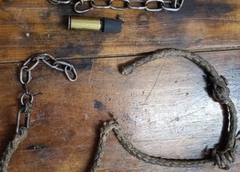 F849f1d9 4459 4c23 8e75 f2d10867b517