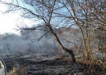 Whatsapp image 2022 09 13 at 9.58.24 am (1)