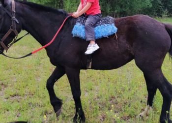 95fd0e1a a3e8 4af3 b027 223e73f8aaae