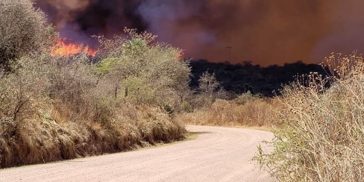 Incendios 1