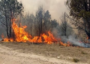 631c9867dfe9b 1200 (1)