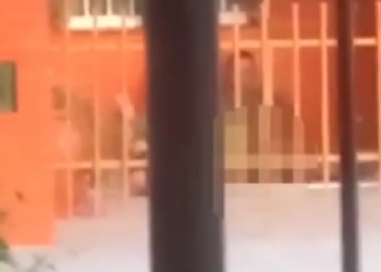 Jesús Maria: un vecino se masturba a plena luz del dia en la puerta de su casa