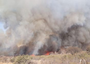 Multimedia.normal.ba775e3be8011bd5.73616e206361726c6f73206d696e617320696e63656e64696f735f6e6f726d616c2e6a7067