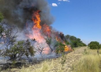 4536503c 8641 4d70 8c63 4b6b46998254 e1669982529964 1140x761