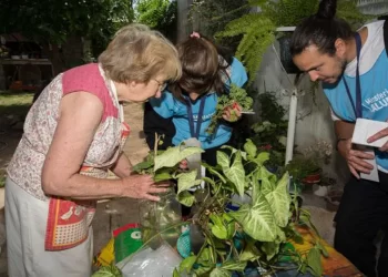 Qik33s7cyjc4dbc6cfxd7hw77i