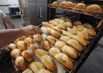 Multimedia.normal.a79b17dbe9f2cf8b.70616e5f6e6f726d616c2e6a7067