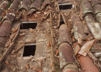 9202ba84 c8ea 47e5 8d18 b02310e061db